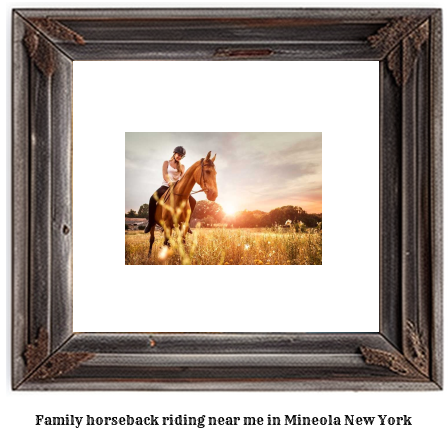 family horseback riding near me in Mineola, New York